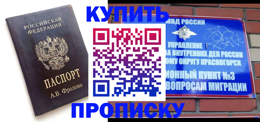прописка поиск в Павлово